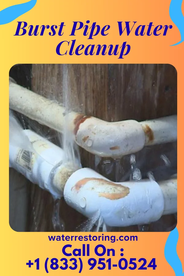 Burst Pipe Water Cleanup in Terra Alta, WV