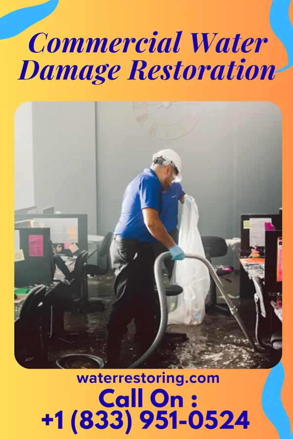 Commercial Water Damage Restoration in Terra Alta, WV