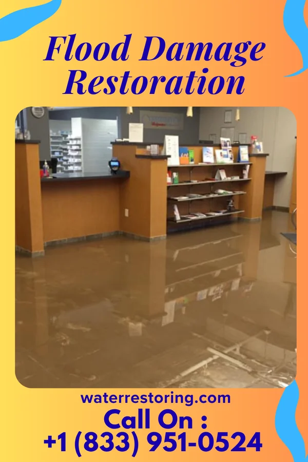 Flood Damage Restoration in Terra Alta, WV
