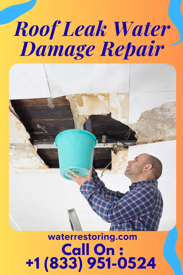 Roof Leak Water Damage Repair in Terra Alta, WV