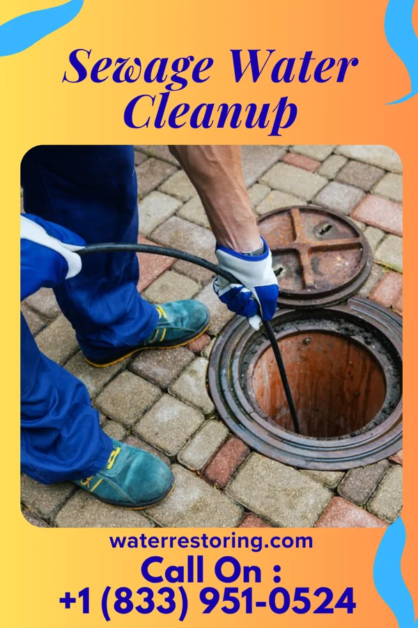 Sewage Water Cleanup in Terra Alta, WV