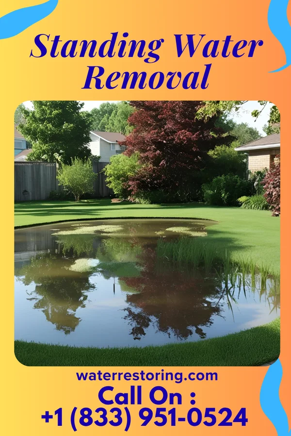 Standing Water Removal in Terra Alta, WV
